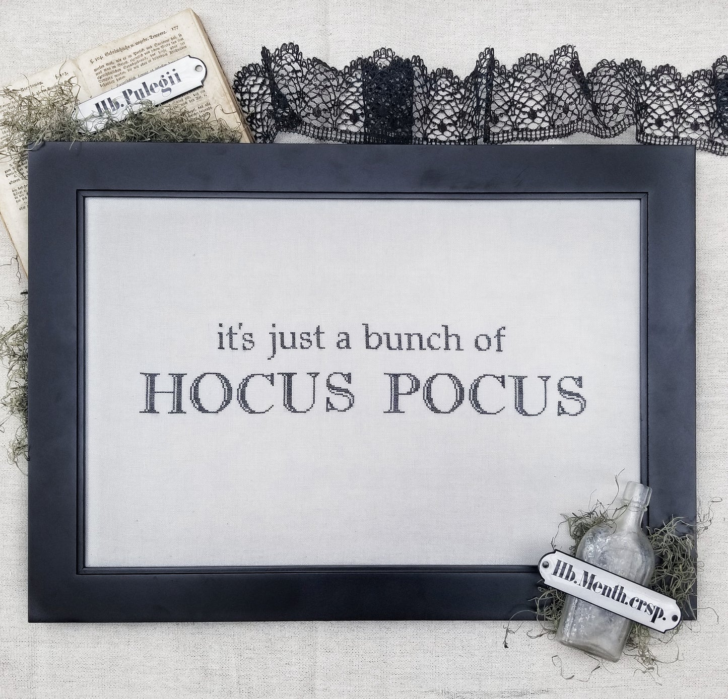 Hocus Pocus PDF