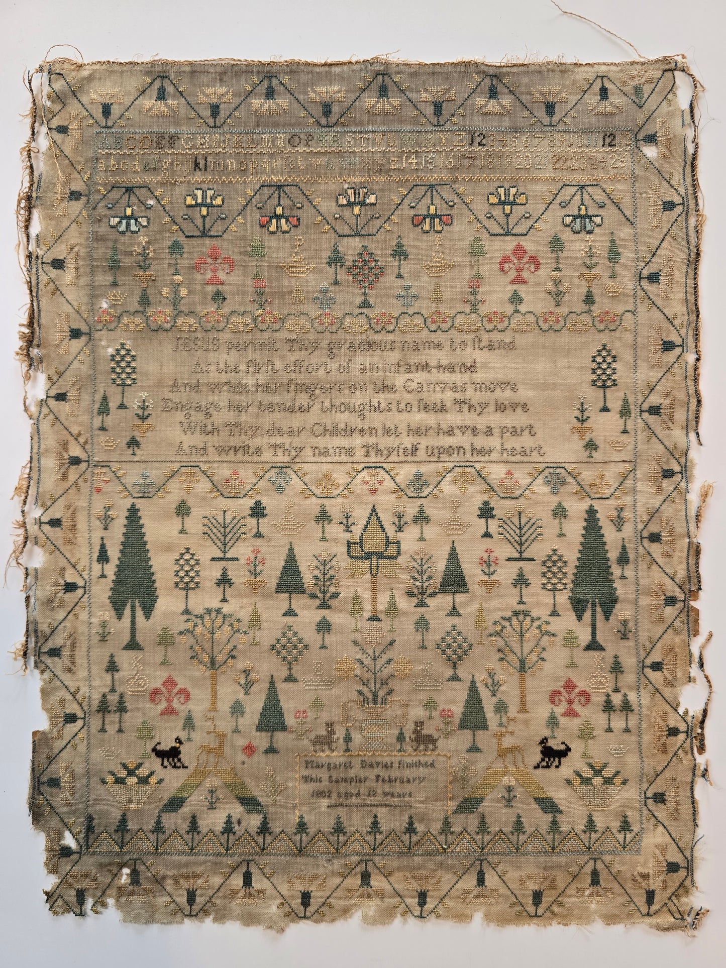 Forest Sampler