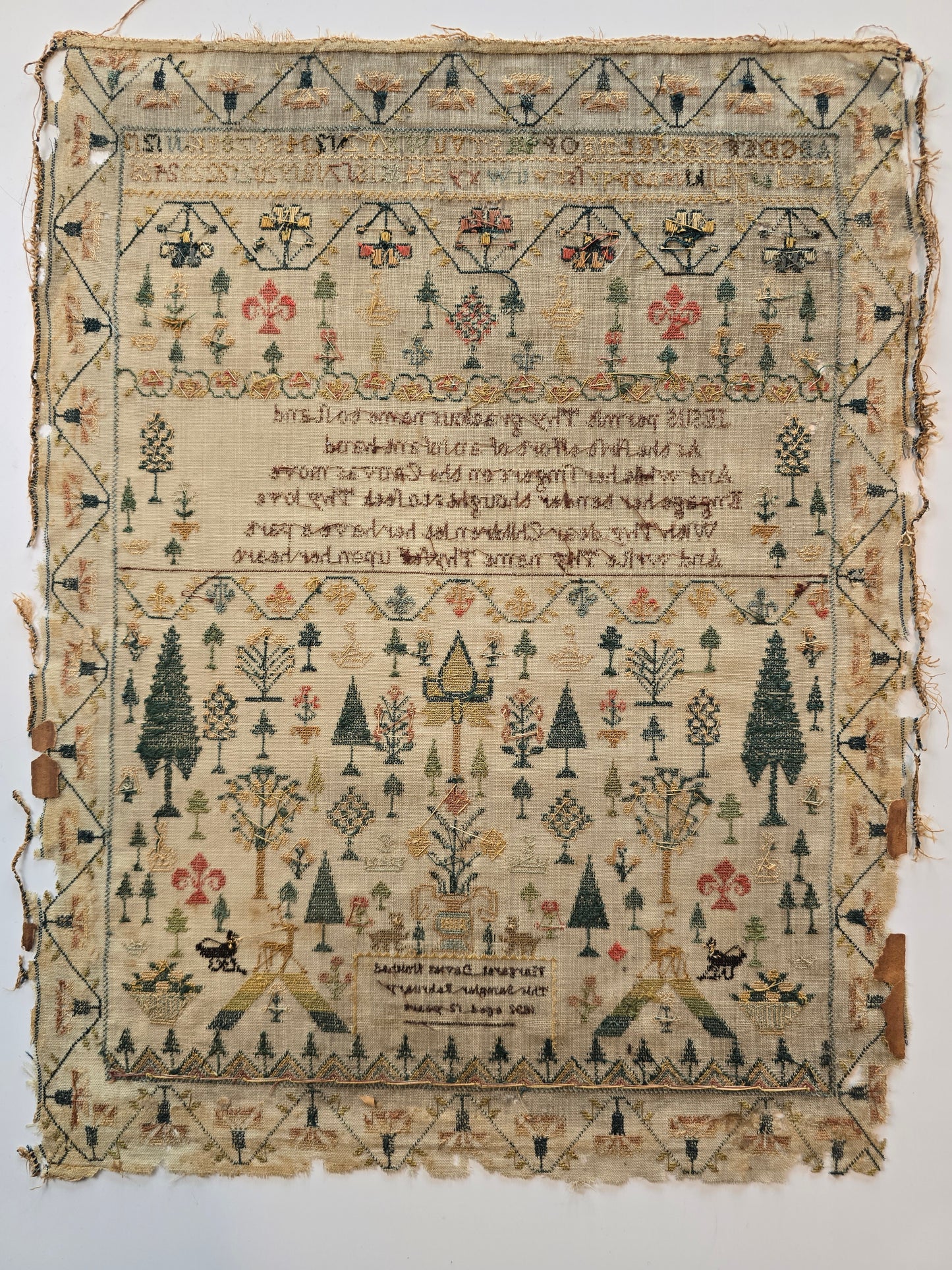 Forest Sampler