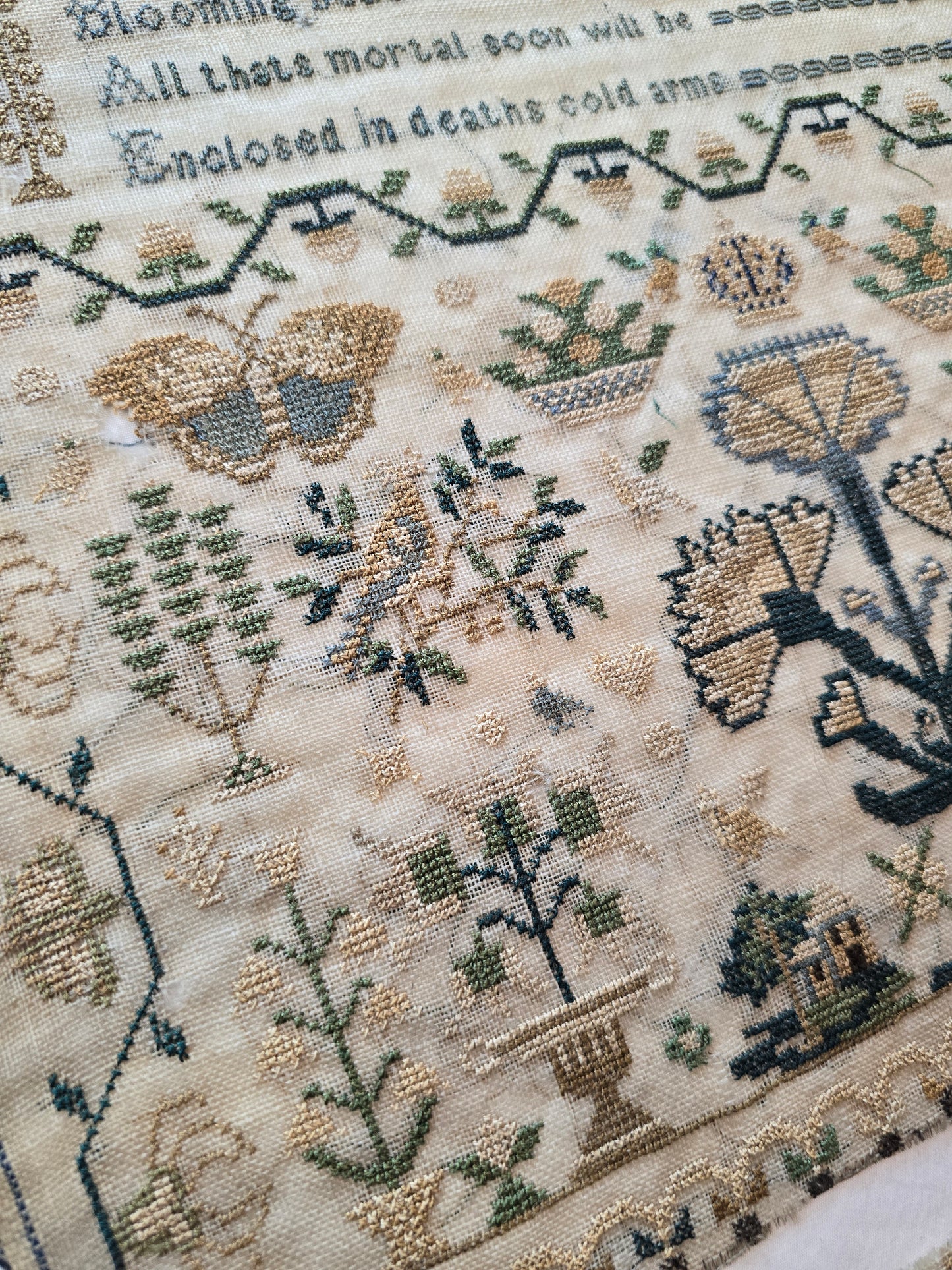 A Vanity Sampler