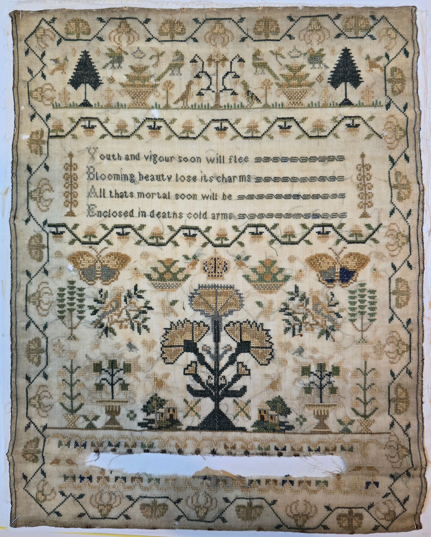 A Vanity Sampler